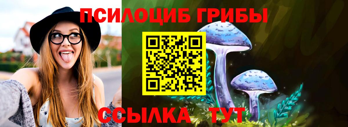 Псилоцибиновые грибы GOLDEN TEACHER Отрадное