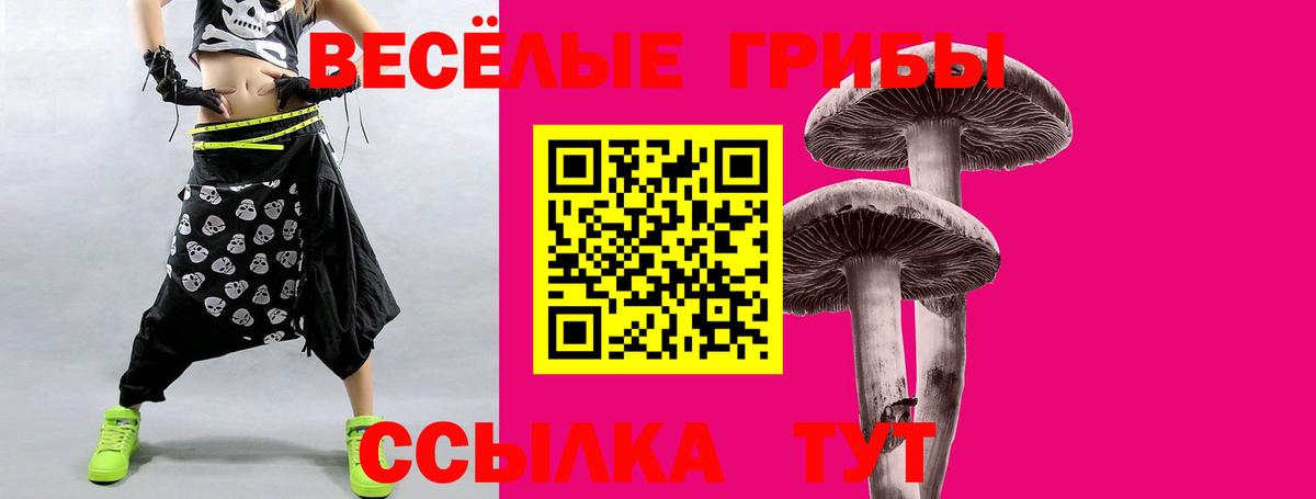 Псилоцибиновые грибы мицелий  Вход с VPN  Отрадное 